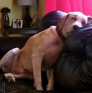 Meet your Posher, Lance